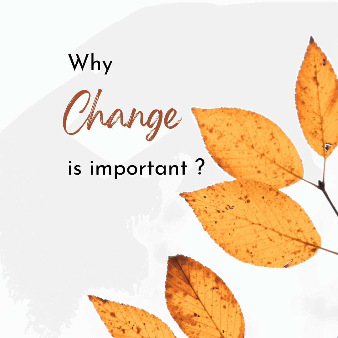 Why Change Management is Important in an Organization