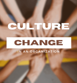 culture change in an organization
