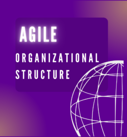 What is agile organizational structure