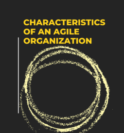 Characteristics of an agile organization