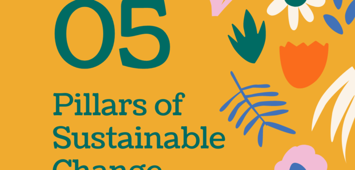 05 pillars of sustainable change