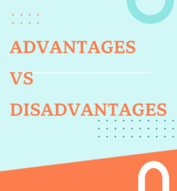 Advantages and Disadvantages of an agile organization