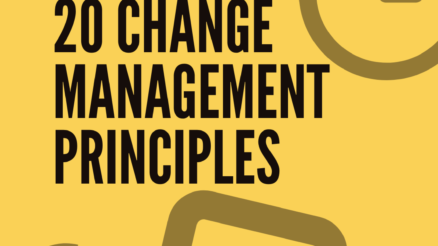 20 change management principles