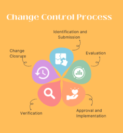 Project management change control process