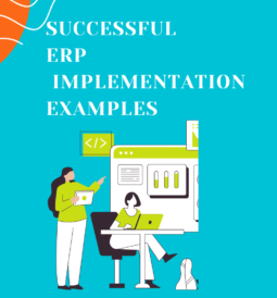 Successful ERP Implementation Examples
