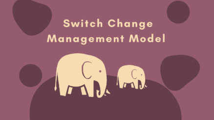 Switch Change Management Model