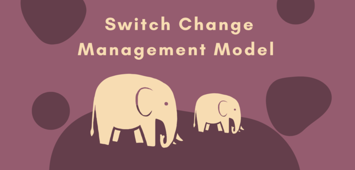 Switch Change Management Model