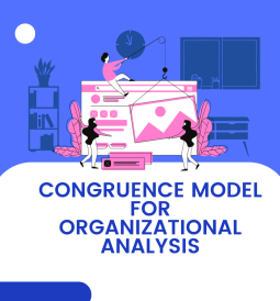 Congruence Model for Organizational Analysis